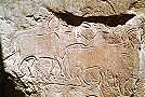 Felszeichnungen (Wadi Tiksatin)